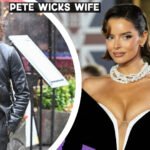 Pete Wicks Wife