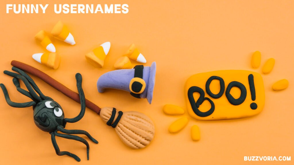 Funny Usernames
