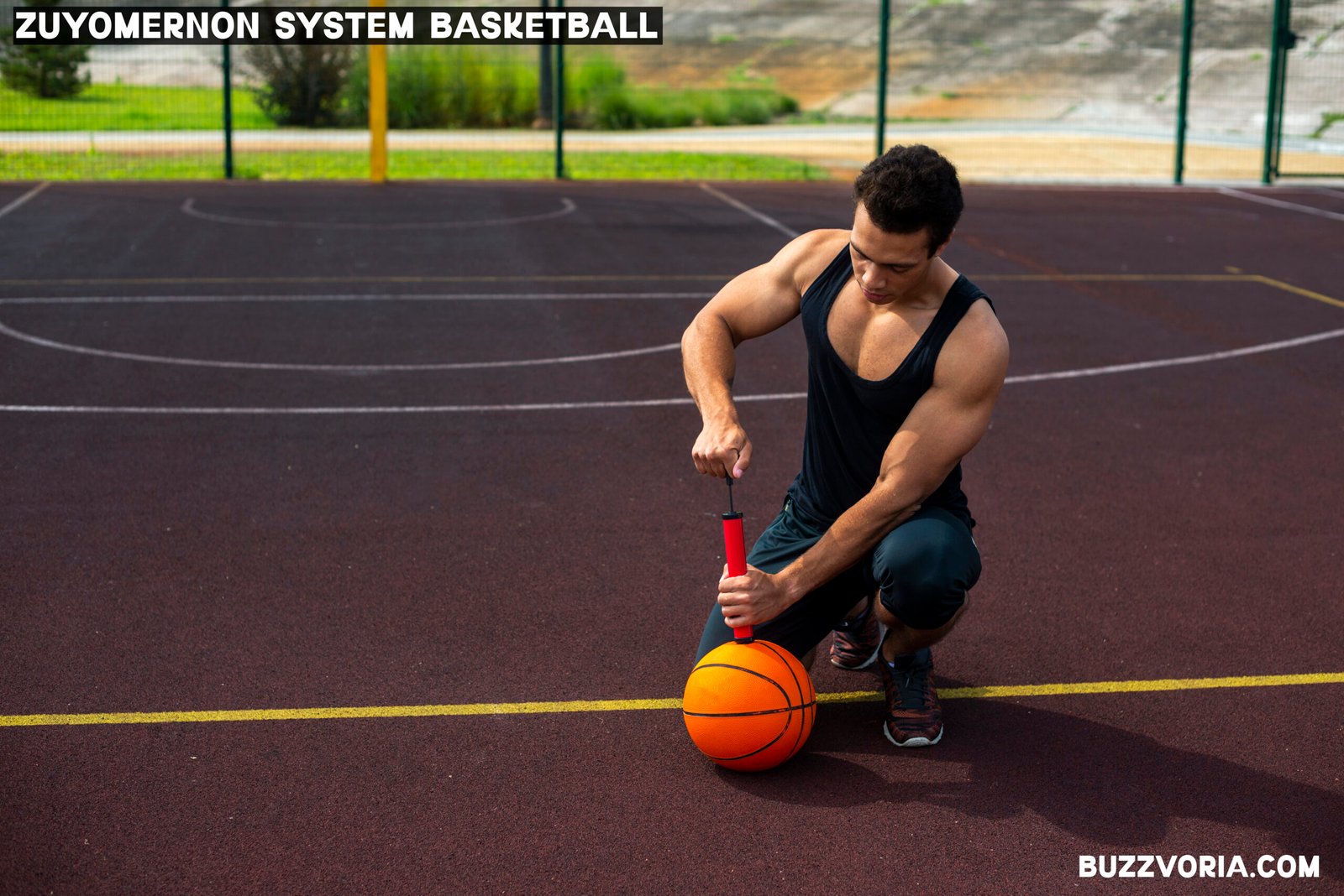 Zuyomernon System Basketball